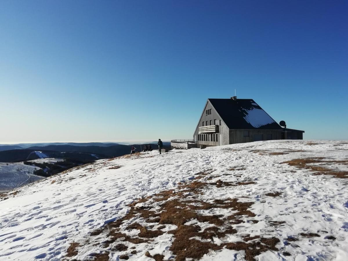 Apartamento Hameau Des Chaumes Vue Panoramique La Bresse Exterior foto